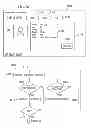 Fig. 32 - Workstation for monitoring and improving health and productivity of employees