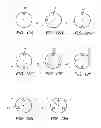 Fig. 09 - SYSTEM AND METHOD FOR SENSING SHAPE OF ELONGATED INSTRUMENT
