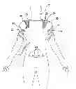Fig. 01 - Sensory motor stimulation garments and methods