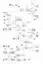 Fig. 02 - Medical Information Handling System