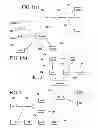 Fig. 02 - Medical information handling method