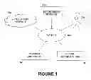 Fig. 02 - SYSTEM AND METHOD FOR PRODUCING AN ALBUM