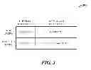 Fig. 04 - Incremental computing for web search