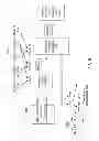 Fig. 06 - Mining generalized spatial association rule