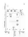 Fig. 09 - In-network middlebox compositor for distributed virtualized applications