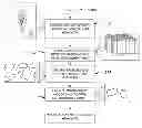 Fig. 01 - ELECTRONIC DOCUMENT FOR AUTOMATICALLY DETERMINING A DOSAGE FOR A TREATMENT
