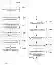 Fig. 09 - ELECTRONIC DOCUMENT FOR AUTOMATICALLY DETERMINING A DOSAGE FOR A TREATMENT