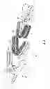 Fig. 04 - Teethbrush