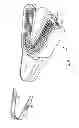 Fig. 09 - Teethbrush