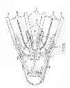 Fig. 13 - Teethbrush