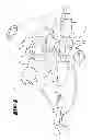 Fig. 05 - Combination of control cabinet keys