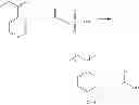 Fig. 09 - Modified sulfonated block copolymers and the preparation thereof