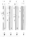Fig. 03 - Saw filter having planar barrier layer and method of making