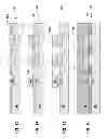 Fig. 05 - Saw filter having planar barrier layer and method of making