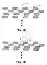 Fig. 06 - Optical storage medium with optically detectable marks
