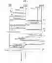 Fig. 05 - MOBILE COMMUNICATION SYSTEM, NETWORK DEVICE, AND MOBILE COMMUNICATION METHOD