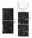 Fig. 02 - User interface method and system for management and control of automated image processing in high content screening or high throughput screening