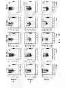 Fig. 33 - SUBSETS OF ANTIGEN-PRESENTING CELLS (APCs) IN THE HUMAN VAGINA AND THEIR DISTINCT FUNCTIONS