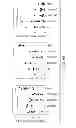 Fig. 35 - SUBSETS OF ANTIGEN-PRESENTING CELLS (APCs) IN THE HUMAN VAGINA AND THEIR DISTINCT FUNCTIONS