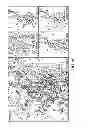 Fig. 41 - SUBSETS OF ANTIGEN-PRESENTING CELLS (APCs) IN THE HUMAN VAGINA AND THEIR DISTINCT FUNCTIONS
