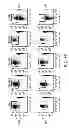 Fig. 43 - SUBSETS OF ANTIGEN-PRESENTING CELLS (APCs) IN THE HUMAN VAGINA AND THEIR DISTINCT FUNCTIONS