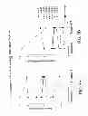 Fig. 06 - METHOD FOR THE TREATMENT OF MULTIPLE SCLEROSIS