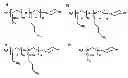 Fig. 01 - Protein-poly(2-oxazoline) conjugates for enhanced cellular delivery and transport across biological barriers