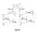 Fig. 07 - Protein-poly(2-oxazoline) conjugates for enhanced cellular delivery and transport across biological barriers