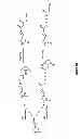 Fig. 08 - Protein-poly(2-oxazoline) conjugates for enhanced cellular delivery and transport across biological barriers