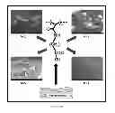 Fig. 07 - Synthetic bone grafts
