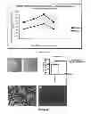 Fig. 09 - Synthetic bone grafts