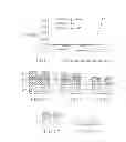 Fig. 02 - Process of making a lithographic structure using antireflective materials