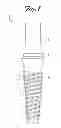 Fig. 02 - IMPLANT FIXTURE