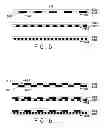 Fig. 06 - Multi-sensory manipulation