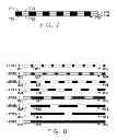 Fig. 07 - Multi-sensory manipulation