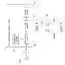 Fig. 02 - TESTING SYSTEM AND METHOD USING AN IPSATIVE SCALE