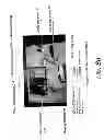 Fig. 12 - Device and method for identifying microbes and counting microbes and determining antimicrobial sensitivity