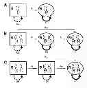 Fig. 01 - IDENTIFICATION OF MUTATION TYPES ASSOCIATED WITH ACQUIRED RESISTANCE AND METHODS FOR USING SAME