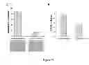 Fig. 31 - Breast Tumor Markers and Methods of Use Thereof