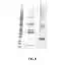 Fig. 09 - SUMO-SPECIFIC AFFINITY TAG