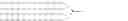 Fig. 06 - Viral citrullinated peptides and uses thereof