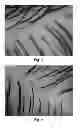 Fig. 02 - Method for assessing the condition of skin and/or scalp