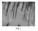 Fig. 03 - Method for assessing the condition of skin and/or scalp