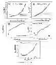 Fig. 12 - Zinc oxide-based nanostructure modified QCM for dynamic monitoring of cell adhesion and proliferation