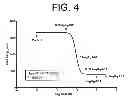 Fig. 05 - Nucleic acids encoding anti-IL-6 antibodies of defined epitopic specificity