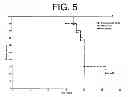 Fig. 06 - Nucleic acids encoding anti-IL-6 antibodies of defined epitopic specificity