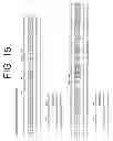 Fig. 20 - Nucleic acids encoding anti-IL-6 antibodies of defined epitopic specificity
