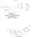 Fig. 22 - Synthesis of prazole compounds
