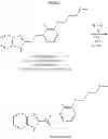 Fig. 23 - Synthesis of prazole compounds