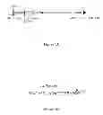 Fig. 02 - Polycistronic vector for human induced pluripotent stem cell production